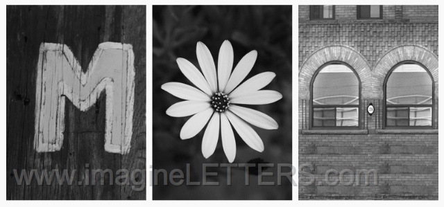 Wall_Art_Alphabet_Photography_Art_ 1457.jpg
